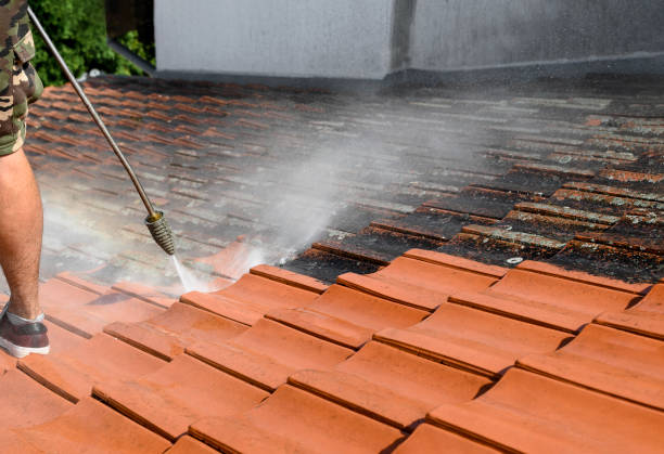 Best Fence Pressure Washing  in Violet, LA