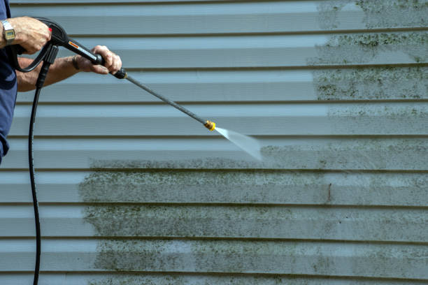 Best Roof Power Washing Services  in Violet, LA