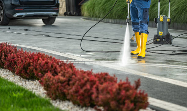 Best Pressure Washing Estimates  in Violet, LA